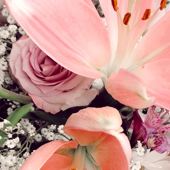 Meet your Posher, Casey - Picture 1 of 1